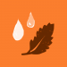 leaf and water icon