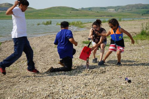 children dig on rocky shore
